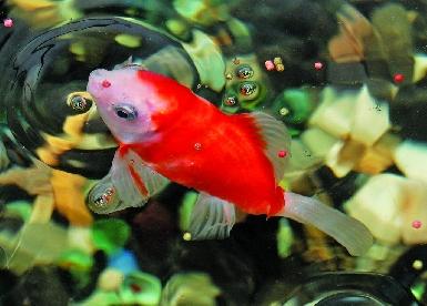 nice - 4aa8cfa6e53dc.jpg